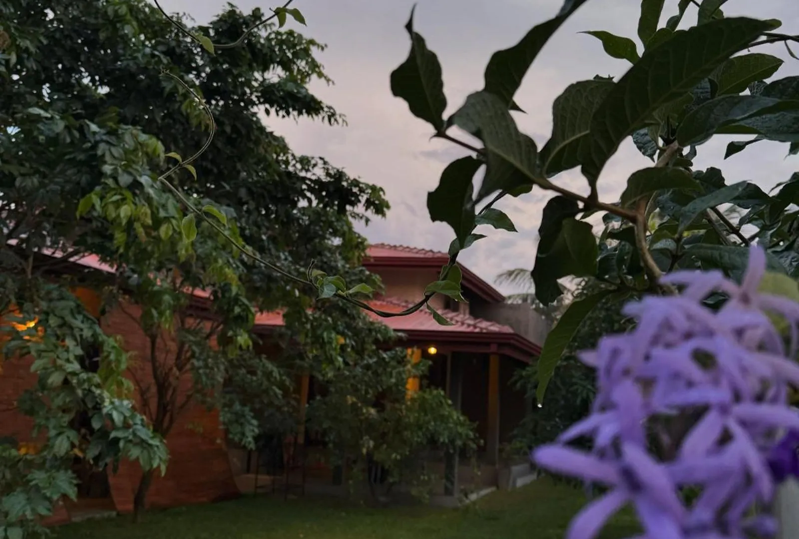 Negombo 146 Homestay 0*,